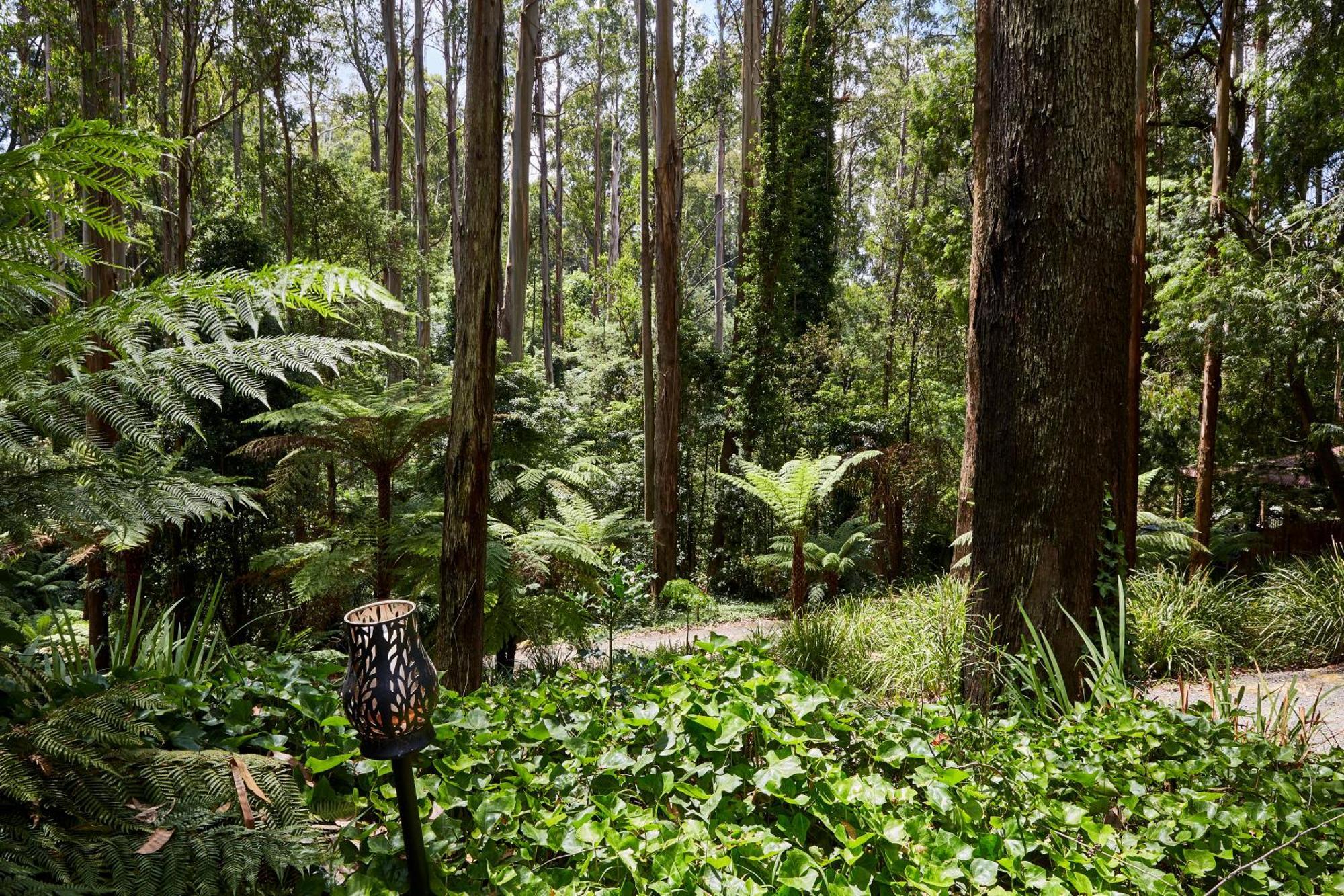The Fernglen Forest Retreat Mount Dandenong Exterior foto